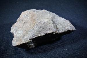 Dinosaur Coprolite, from U.S.A. (REF:DC4)