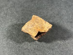 Edmontosaurus Bone, from Hells Creek, Montana, U.S.A. (REF:EDMON6)
