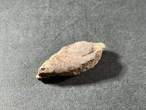 Tyrannosaurus Rex (T.Rex) Bone Fragment, from Hell Creek Formation, Eastern Montana, USA (REF:TREX61)