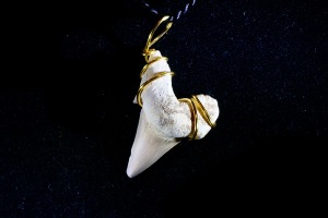 Lamna Shark Tooth Hand Wired Pendant (No.841)