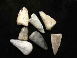 Barracuda Tooth (300)