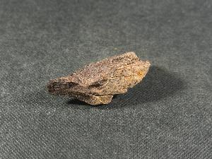 Edmontosaurus Bone, from Hells Creek, Montana, U.S.A. (REF:EDMON13)