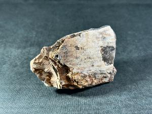 Mammoth Tusk Fragment, from the North Sea Area (MTUSK7)