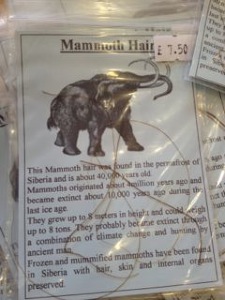 Mammoth - Hair (£7.50 packet)