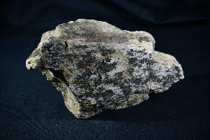 Triceratops Frill Bone Fragment, from Lance Creek Formation, Weston County, Wyoming, U.S.A. (REF:TDB8)