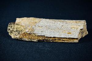 Triceratops Rib Bone Fragment, from Lance Creek Formation, Weston County, Wyoming, U.S.A. (REF:TDB9)