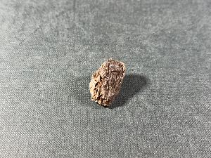 Tyrannosaurus Rex (T.Rex) Bone Fragment, from Hell Creek Formation, Eastern Montana, USA (REF:TREX64)