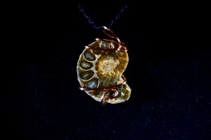 Desmoceras Ammonite Hand Wired Pendant (No.845)