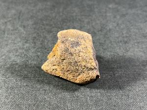 Edmontosaurus Bone, from Hells Creek, Montana, U.S.A. (REF:EDMON1)