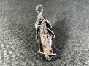 Orthoceras Handwired Pendant (REF:HWO3)
