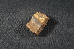 Stromatolite (Microbial), from Dresser Formation, Western Australia (REF:SS21)