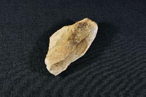 Tyrannosaurus Rex Bone Fragment, from Hell Creek Formation, Eastern Montana, USA (REF:TREX12)