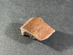Tyrannosaurus Rex Bone Fragment, from Hell Creek Formation, Eastern Montana, U.S.A. (REF:TREX43)