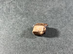 Tyrannosaurus Rex (T.Rex) Bone Fragment, from Hell Creek Formation, Eastern Montana, USA (REF:TREX72)