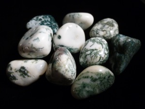 Agate - Tree - Tumbled Stone
