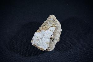 Triceratops Bone Fragment, from Hell Creek Formation, South Dakota, USA (No.49)