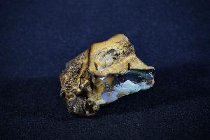 Boulder Opal, from Australia (REF:BO8)