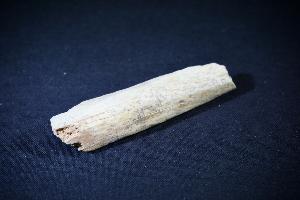 Cave Bear (Ursus Spelaeus) Bone Fragment, from Romania (REF:CB8)