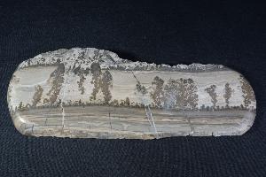 Cotham Marble, Also Know As Landscape Marble, from Wales, UK, (REF:CMS4)