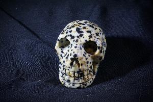Dalmatian Jasper Skull (REF:DJS1)