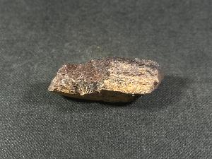 Edmontosaurus Bone, from Hells Creek, Montana, U.S.A. (REF:EDMON12)