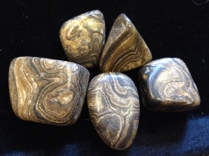 Stromatolite - 'A' Grade Tumbled Stone