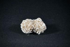 Desert Rose (REF:DR12)