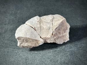 Ichthyosaur Vertebrae, from Oxford Clay Formation, Peterborough, England, UK (REF:ICH5)
