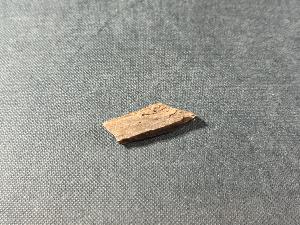 Tyrannosaurus Rex (T.Rex) Bone Fragment, from Hell Creek Formation, Eastern Montana, USA (REF:TREX62)