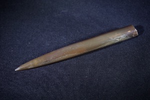 Belemnite from Northamptonshire, England (No.306)