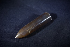Belemnite from Northamptonshire, England (No.308)