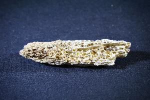 Cave Bear (Ursus Spelaeus) Bone Fragment, from Romania (REF:CB4)