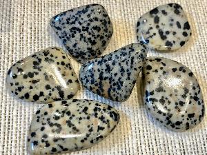 Jasper - Dalmatian - 5g to 10g Tumbled Stone (Selected)
