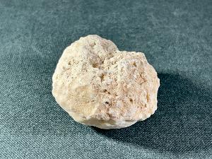Fossil Sea Sponge, from Morocco (SPO7)