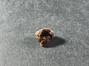 Tyrannosaurus Rex (T.Rex) Bone Fragment, from Hell Creek Formation, Eastern Montana, USA (REF:TREX67)