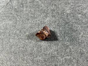 Triceratops Tooth, from Lance Creek Formation, Weston Co. Wyoming, U.S.A. (REF:TRIT4)