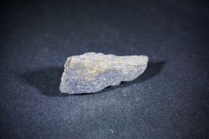 Iguanodon Bone, from Isle of Wight (No.783)