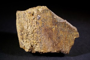 Tyrannosaurs Rex Bone Fragment, from Hell Creek Formation, Eastern Montana, USA (No.87)