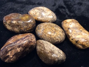 Bronzite (variety of Enstatite) - Tumbled Stone