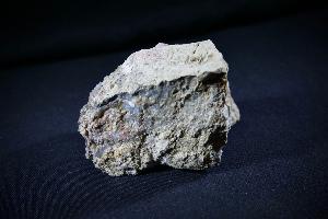 Dinosaur Coprolite, from U.S.A. (REF:DC1)