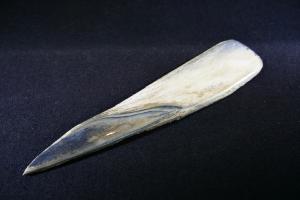 Mammoth Tusk Fragment (No.214)
