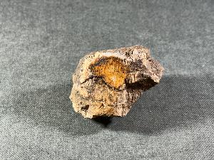 Tyrannosaurus Rex (T.Rex) Bone Fragment, from Hell Creek Formation, Eastern Montana, USA (REF:TREX125)
