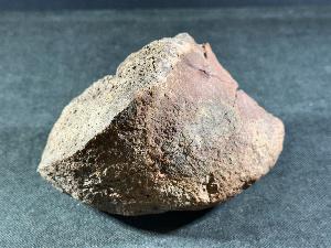 Triceratops Bone Fragment, Lance Creek Formation, Weston Co. Wyoming, USA (REF:TRIT10)