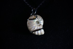 Cleoniceras Ammonite Hand Wired Pendant No.840)