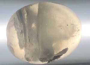 Quartz - Shamanic Dream, Boxed Tumbled Stone (Ref TB93) 