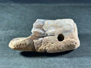 Mammoth Tusk Fragment, from the North Sea Area (MTUSK6)