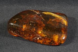 Amber Baltic (REF:AMB6)