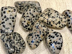 Jasper - Dalmatian - 10g to 20g Tumbled Stone (Selected)