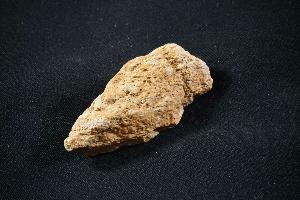 Edmontosaurus Bone, from Lance Creek Formation, Wyoming, U.S.A. (REF:EBH4)