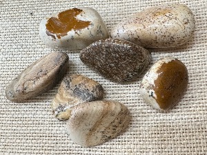 Jasper - Picture Jasper - 5g to 10g Tumbled Stone (Selected)
